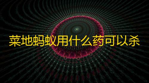 信誉赛车平台菜地蚂蚁用什么药可以杀死